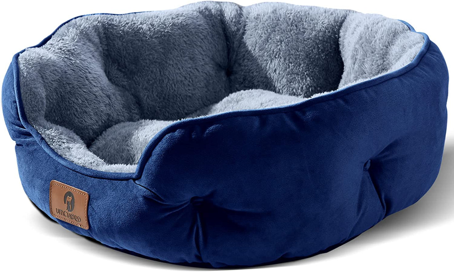 Cozy Haven Pet Bed: Perfect for Small Dogs and Cats